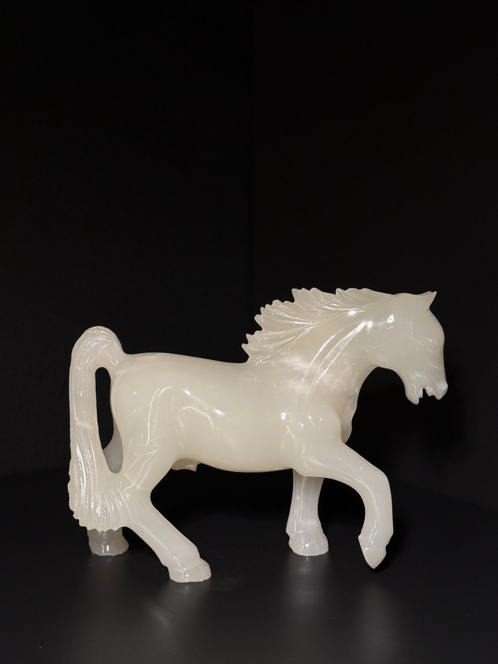 Le Cavalier